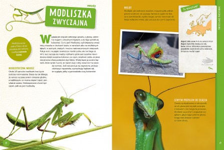 Poznaj z nami zwierzęta Europy elibri 3